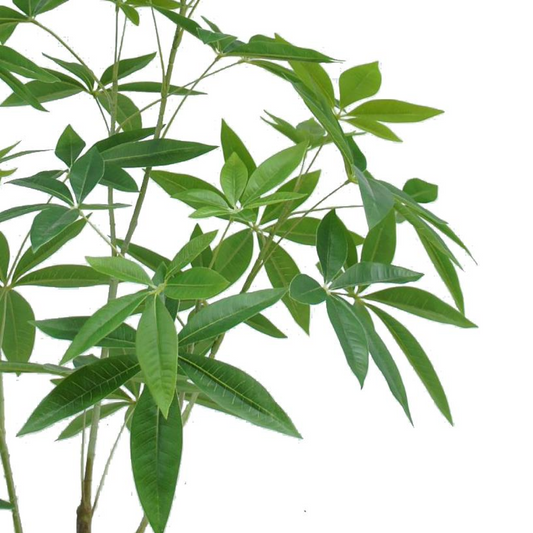 120cm Artificial Money Plant Pachira Realistic Faux Tree