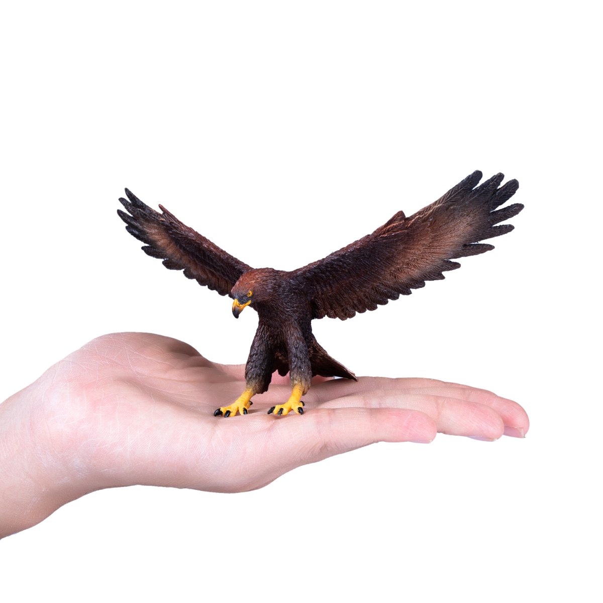 Golden Eagle Toy Realistic Bird of Prey Figurine