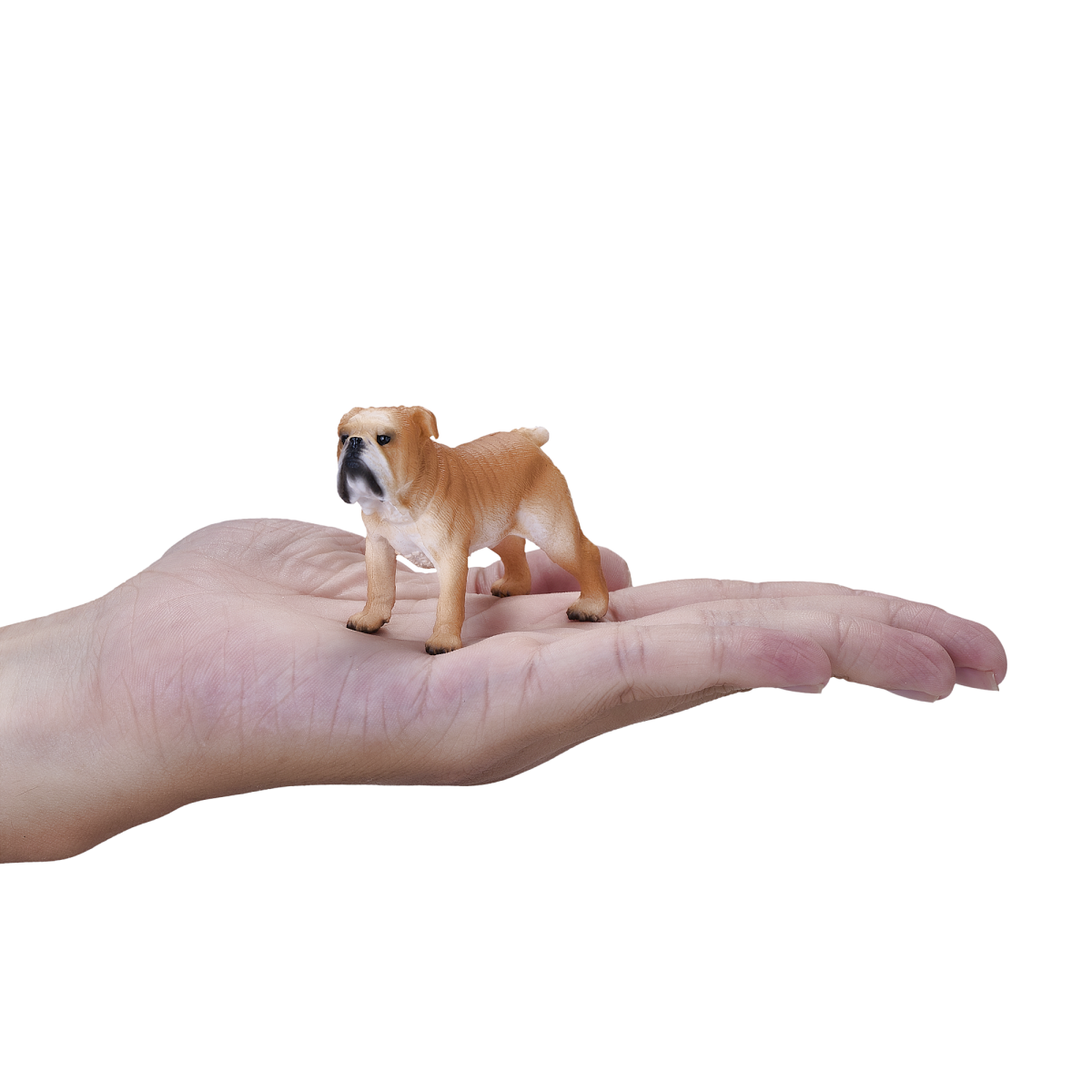 English Bulldog Toy Realistic Pet Figurine
