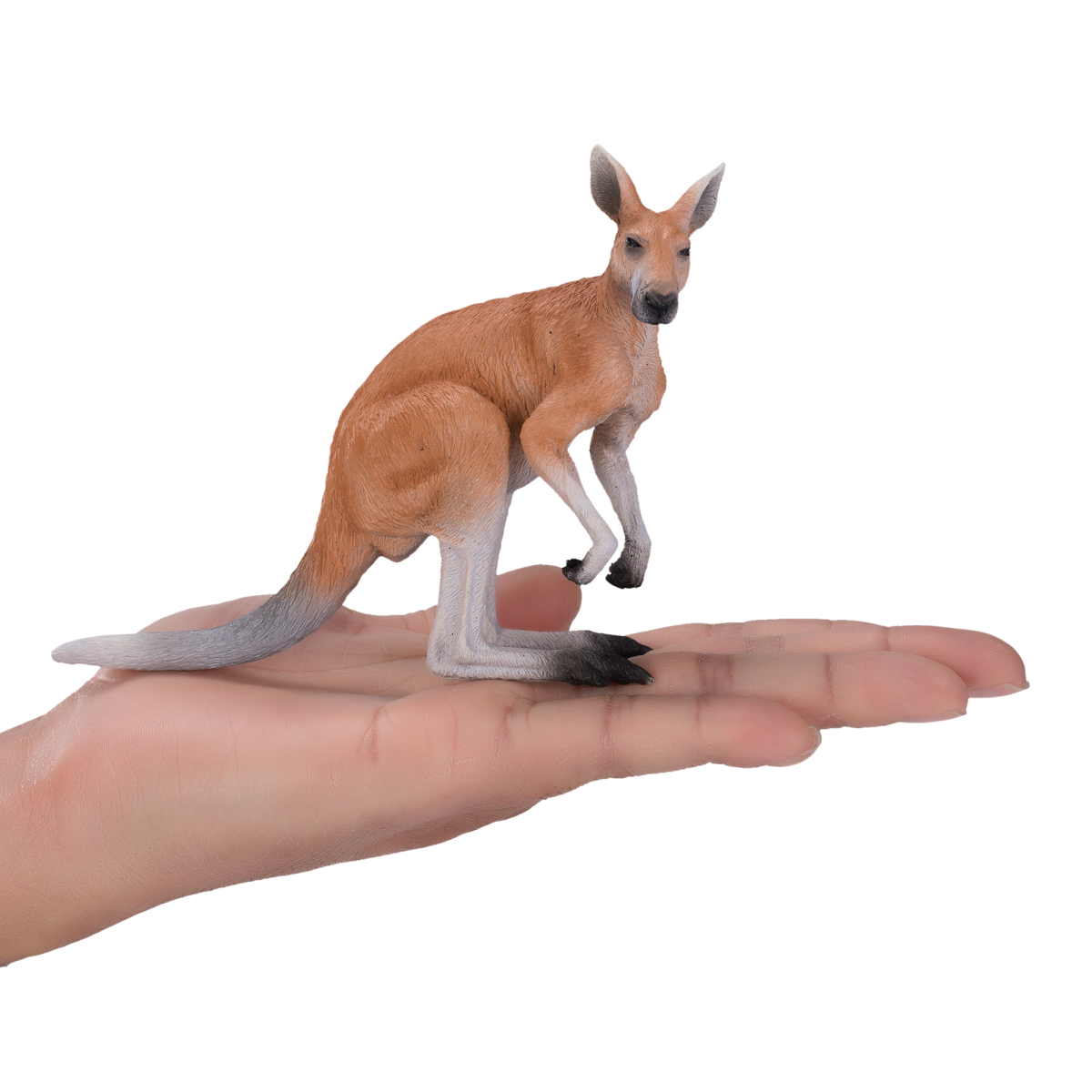 Kangaroo Toy Realistic Australian Wildlife Model