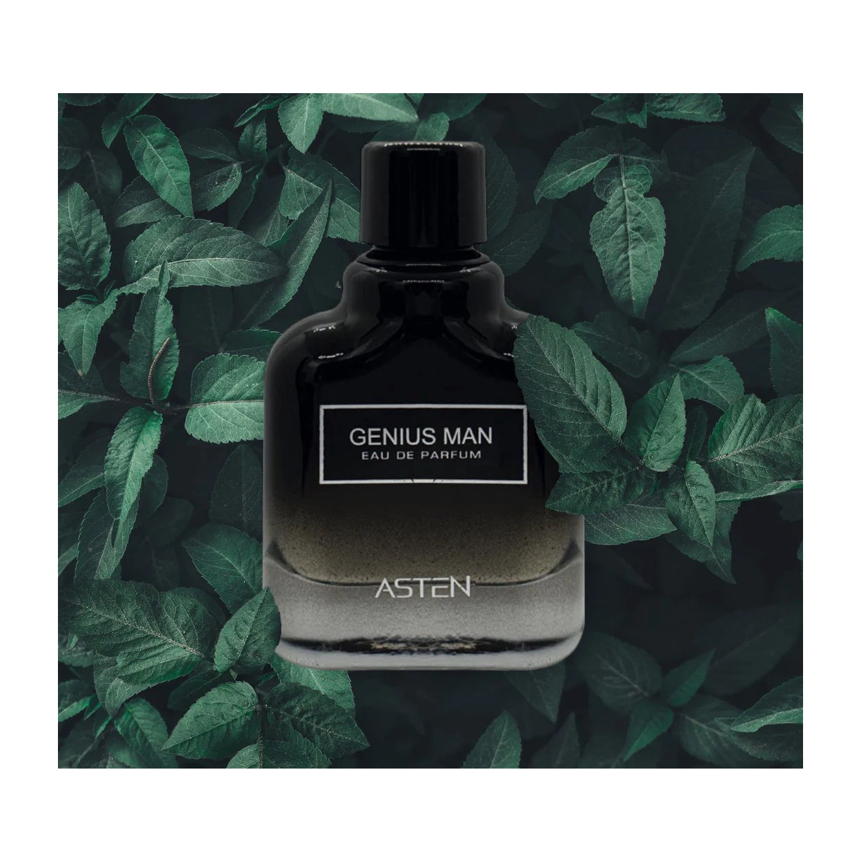 Genius Man Fragnance (100ml)