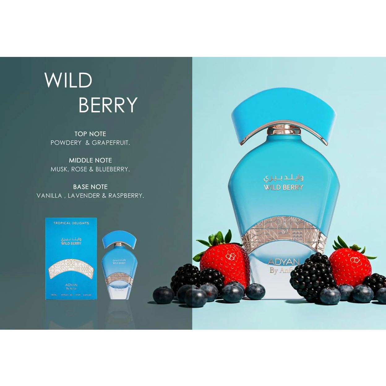 WILD BERRY by Adyan