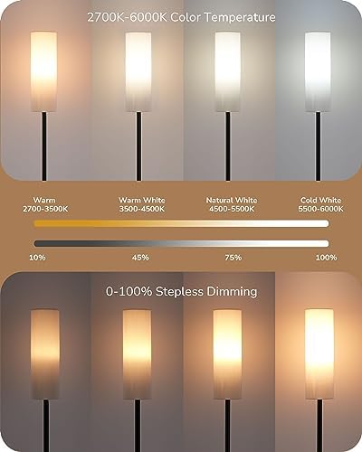 EDISHINE Floor Lamp, Standing Lamp with Wrinkled Linen Lampshade, Floor Lamps for Living Room, Bedroom, 165cm, E27 Socket(9W LED Dimmable Bulb Included), Magnetic Remote Control, Black
