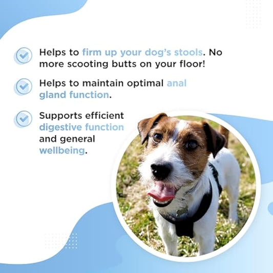 Dog's Lounge - SCOOTER - Digestive Soft Chews for Dogs | Wheat Free Supplement for Healthy Anal Glands with Added Pumpkin | Support Normal Bowel Function and Eliminate Scooting (60 chews)