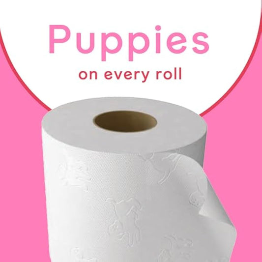 Andrex Family Soft Toilet Paper 24 Rolls (Previously Andrex Gentle Clean) Gentle on your Family’s skin– Pack of 24 Toilet Rolls, 170 sheets Per Roll, FSC Certified