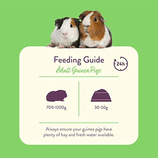 Burgess Excel Guinea Pig Nuggets with Mint 2kg