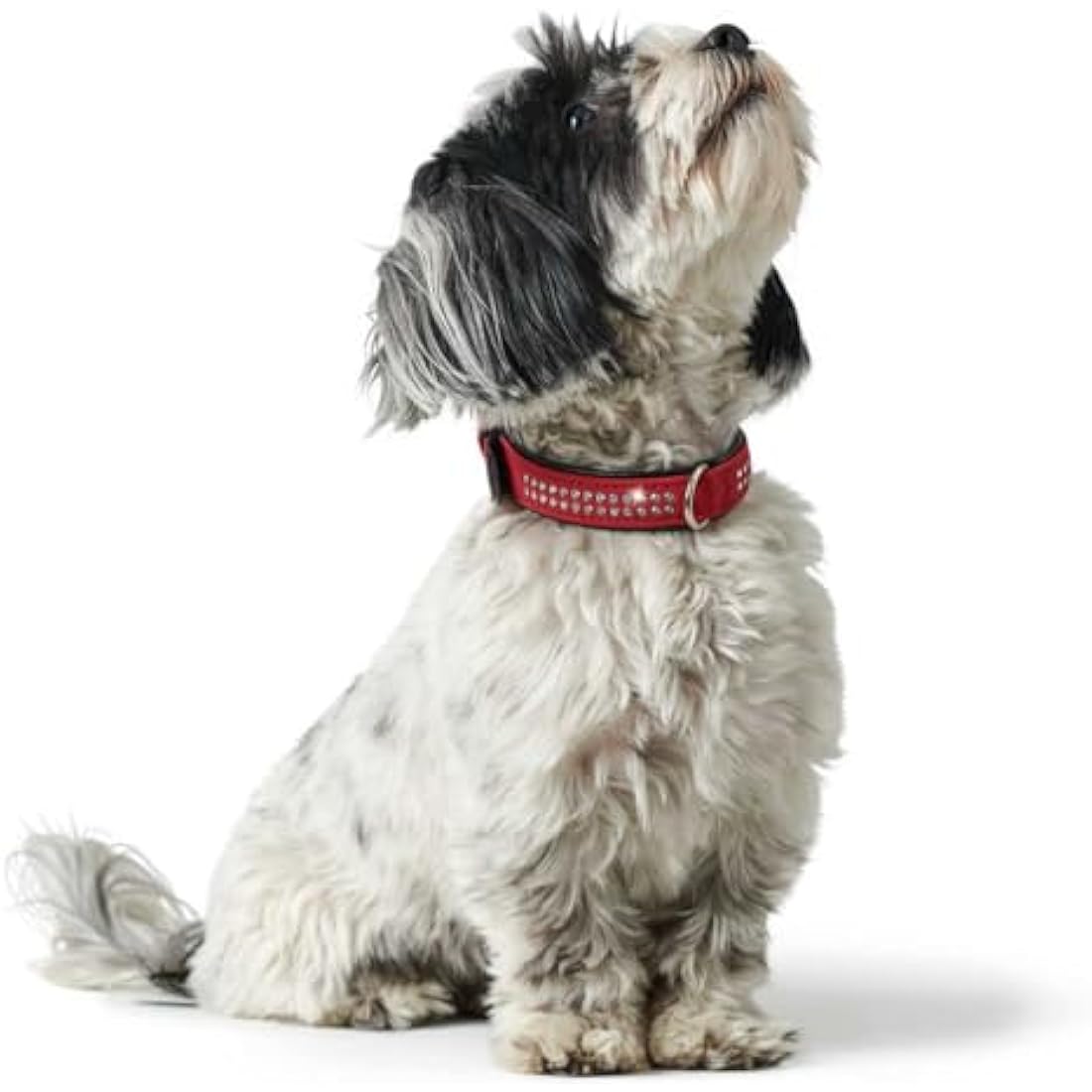 Hunter Softie Deluxe Collar, 40, Red