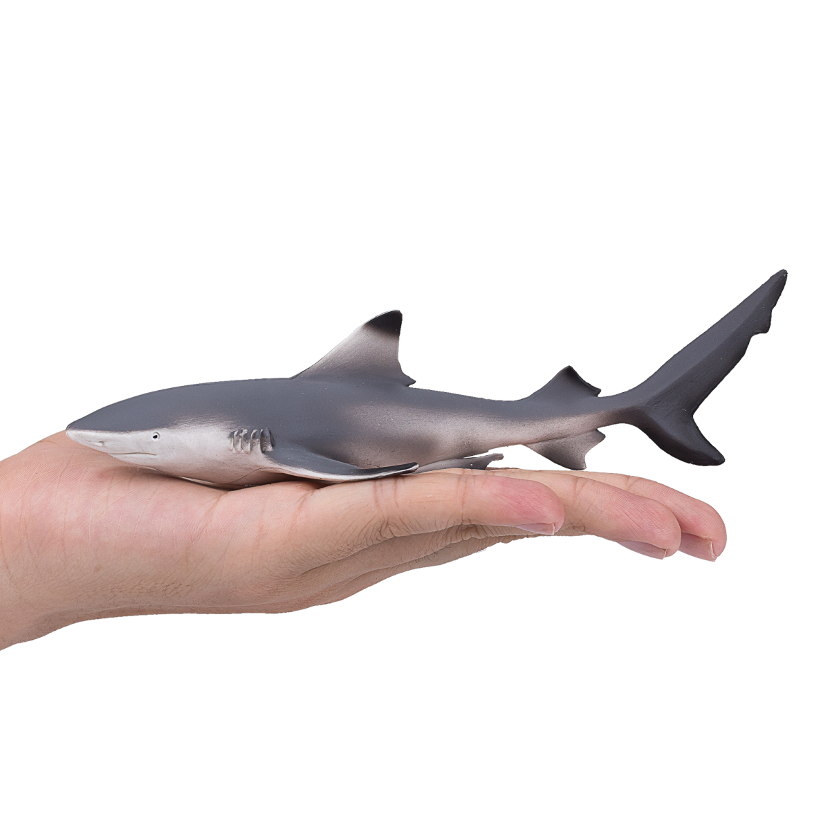 Blacktip Reef Shark Toy Realistic Ocean Predator Model