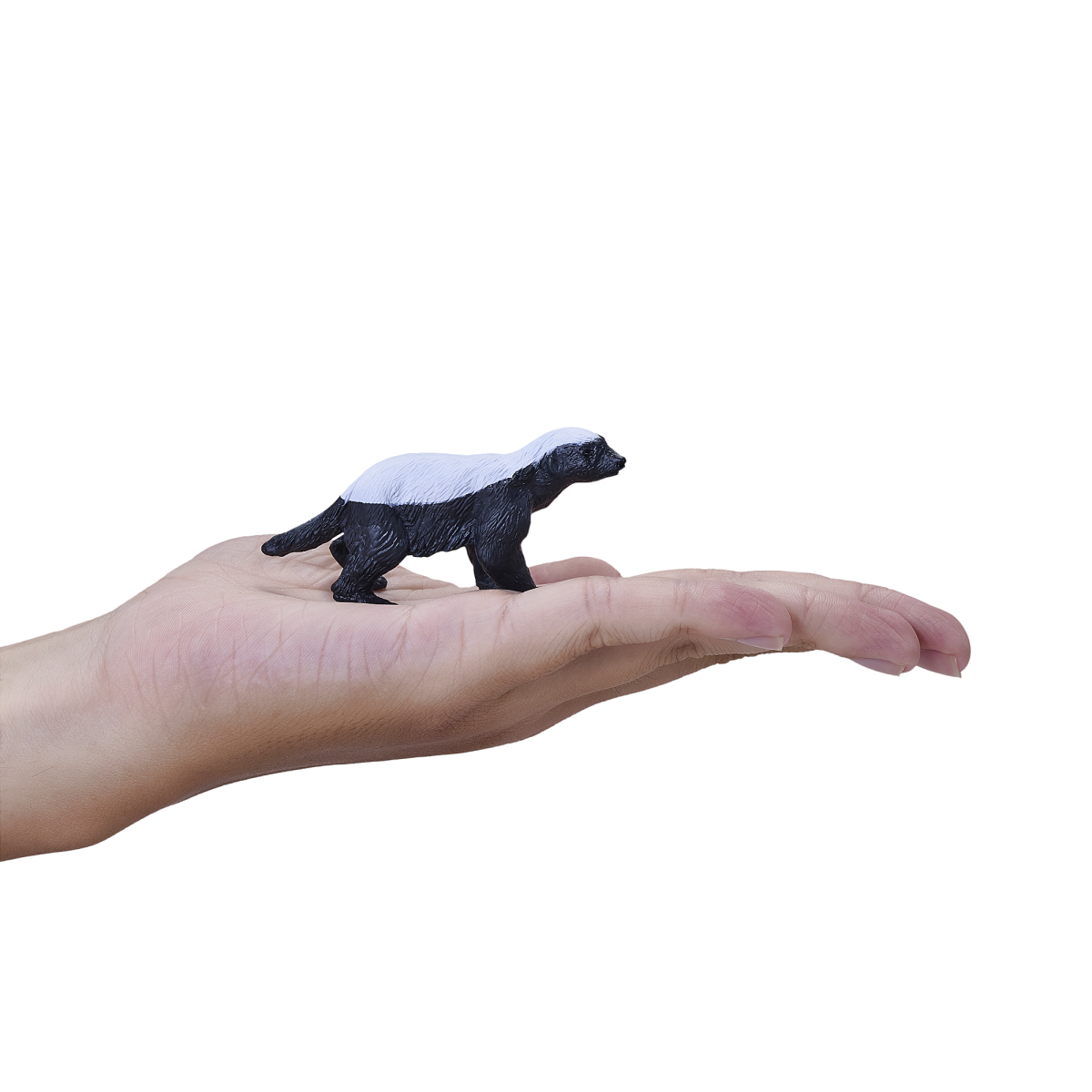 Honey Badger Male Toy Realistic Wildlife Figurine