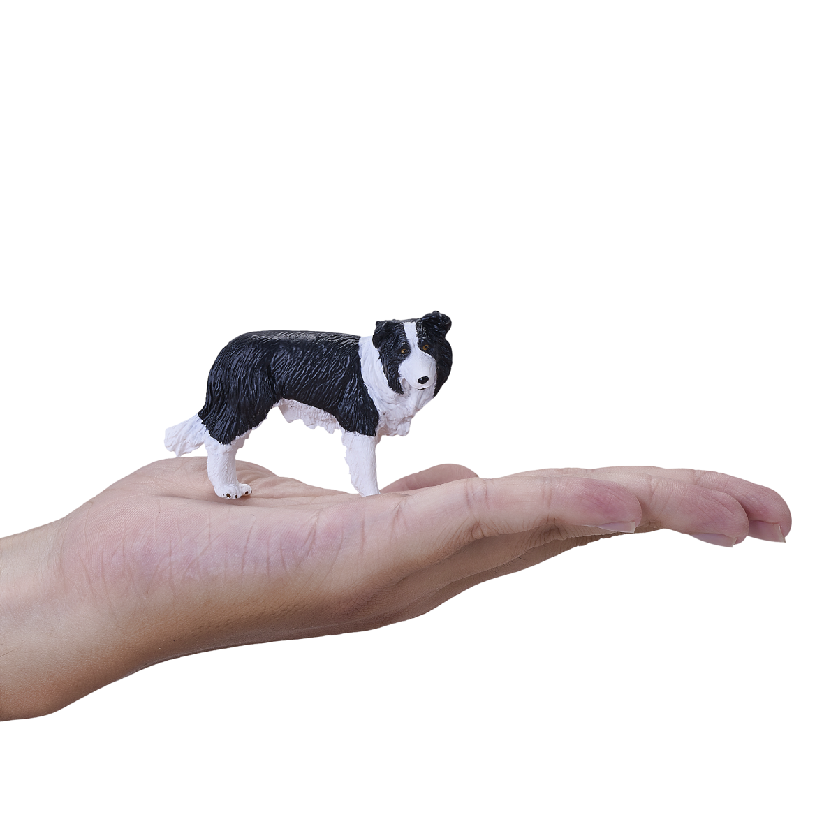 Border Collie Dog Toy Realistic Pet Figurine