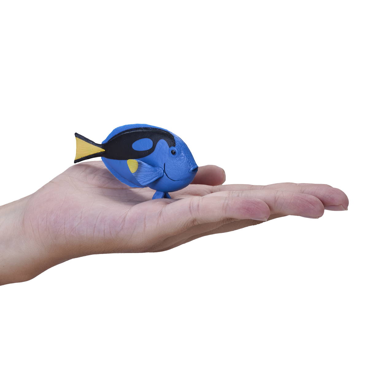 Blue Tang Fish Toy Realistic Ocean Animal Figurine