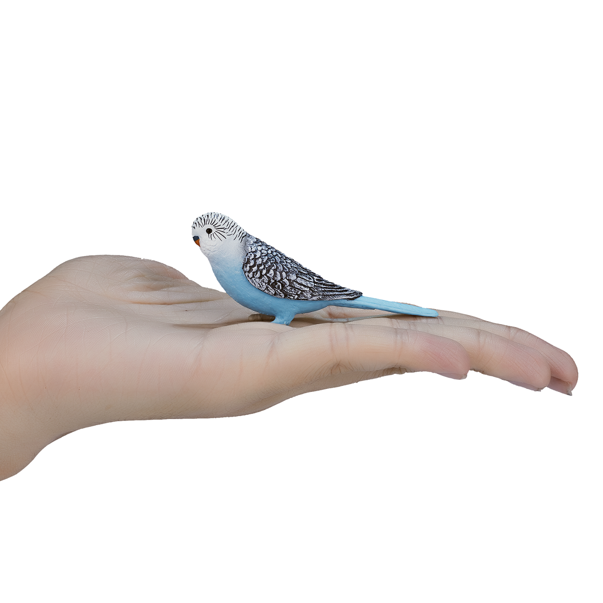 Blue Budgerigar Toy Realistic Exotic Bird Figurine