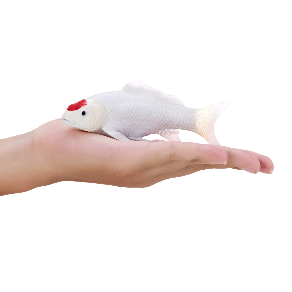 Koi Carp Tancho Toy Realistic Fish Figurine