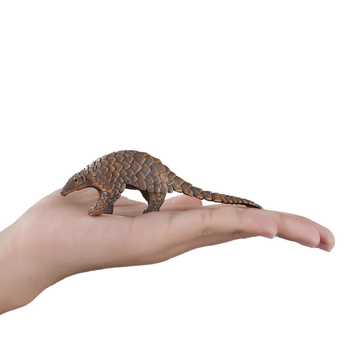 Indian Pangolin Toy Realistic Wildlife Figure