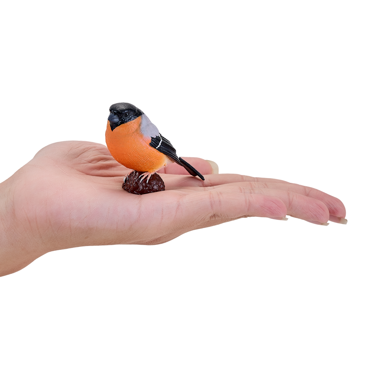 Bullfinch Bird Toy Realistic Wildlife Figurine