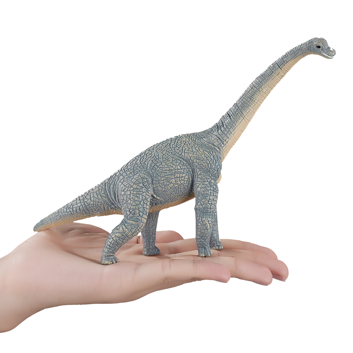 Brachiosaurus Dinosaur Toy Realistic Prehistoric Figure