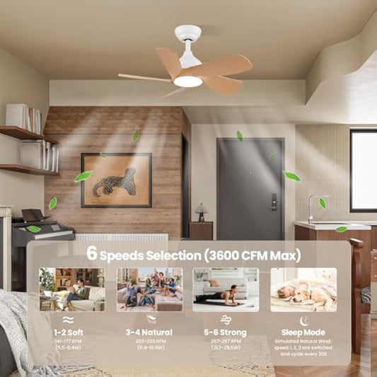 CJOY 30 inch Ceiling Fan Light, Woodgrain Ceiling Fans with Lights Dimmable, Memory 3CCT, 6 Speeds, Quiet, Reversible DC 5 Blades, Fan Lights Ceiling for Bedroom/Kids Room/Corridor/Aisle