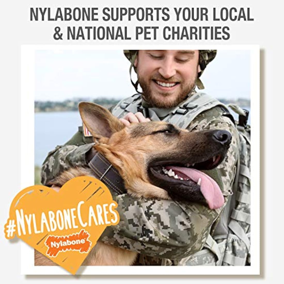 Nylabone Extreme Tough Dog Chew Toy X-Bone, Durable, Cleans Teeth, Beef Flavour, Small, for Dogs Up to 11 kg, for Large Breeds