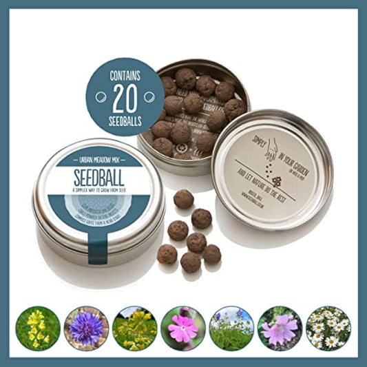 SEEDBALL Urban Meadow Mix Seed Bombs (Wild Flower Tin) – 20 Balls | British Wildflower Seeds - Seed Bomb for Bees, Butterflies, Birds & Garden Wildlife – A Colourful Mix of Annuals & Perennials