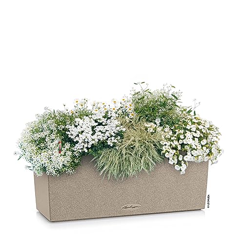 Lechuza BALCONERA Stone 50 Self Watering Planter Plastic Indoor/Outdoor Flower Plant Pot Table and Window Box with Drainage Hole H19 L50 W19 cm Sand