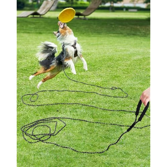 Taglory Training Lead for Dogs 20 m, Reflective Long Rope Lead with Soft Padded Handle for Small Medium Large Dogs, Black