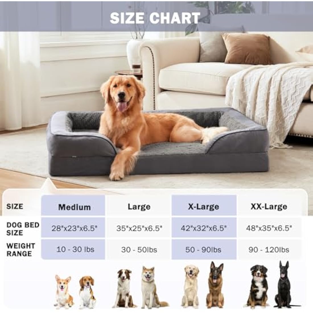 JOEJOY Medium Dog Bed, Orthopedic Memory Foam Dog Beds, Washable Pet Bed, Fits up to 30lbs, Good for Yorkshire, Chihuahua, Jack Russell Terrier, Bomei,Cat