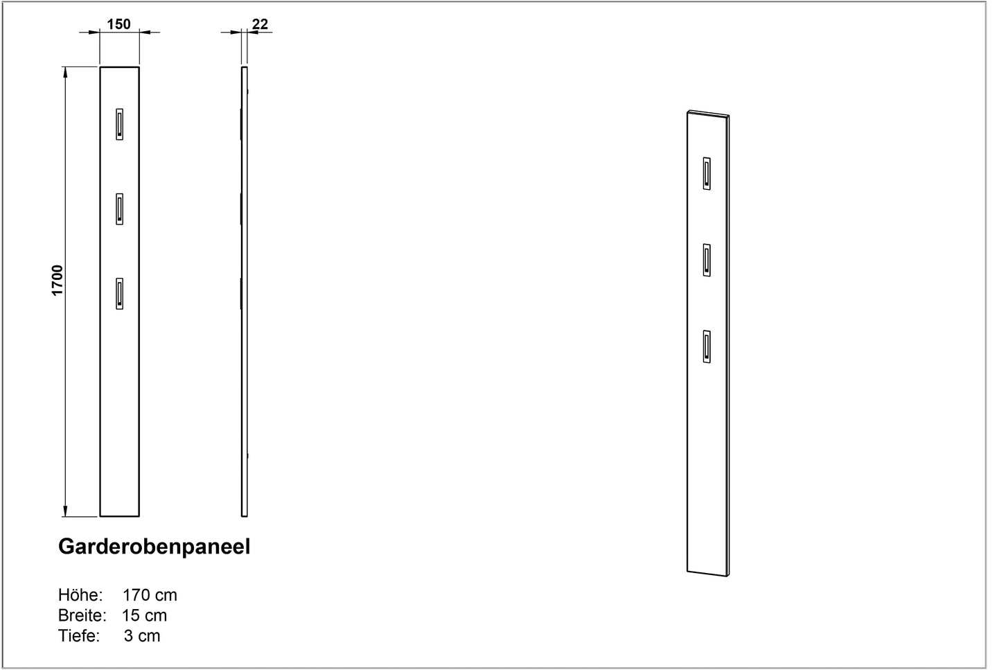 Germania wardrobe panel 3255-547, with THREE fold-out metal clothes hooks, in high-gloss anthracite, 15 x 170 x 3 cm (WxHxD)