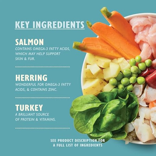 Lily's Kitchen Fishy Fish Pie - Complete Natural Adult Dog Food Wet (10 x 150g Trays)