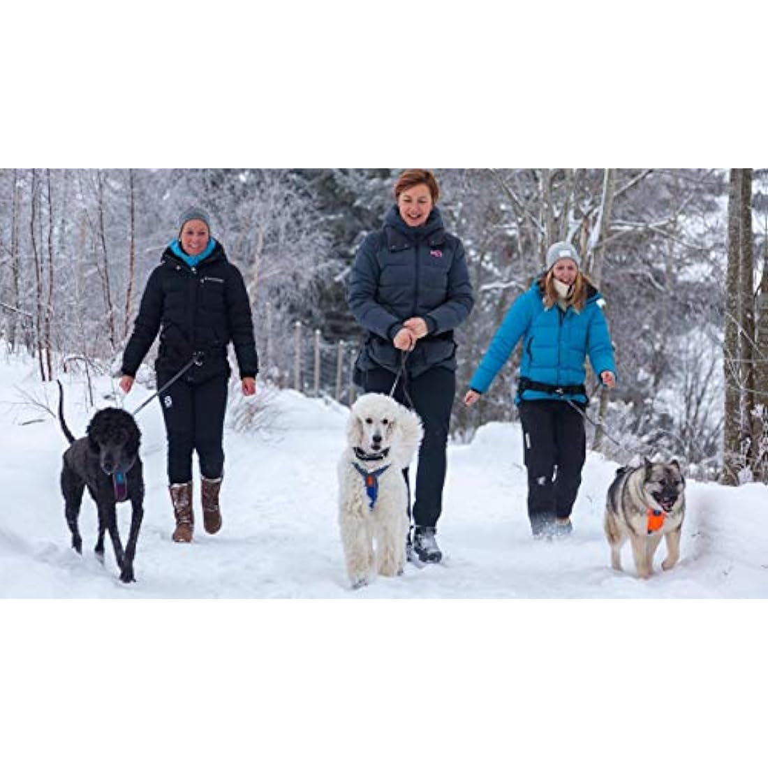 Non- Stop- Dogwear Line Padded Adjustable Harness Size 3 Black for Dogs 1 Pack
