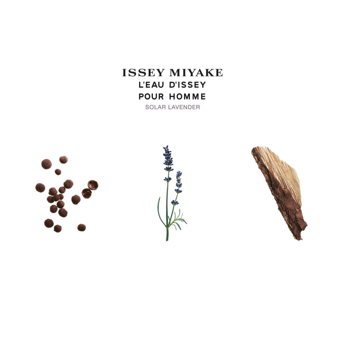 Issey Miyake Solar Lavender Eau De Toilette Spray 100ml
