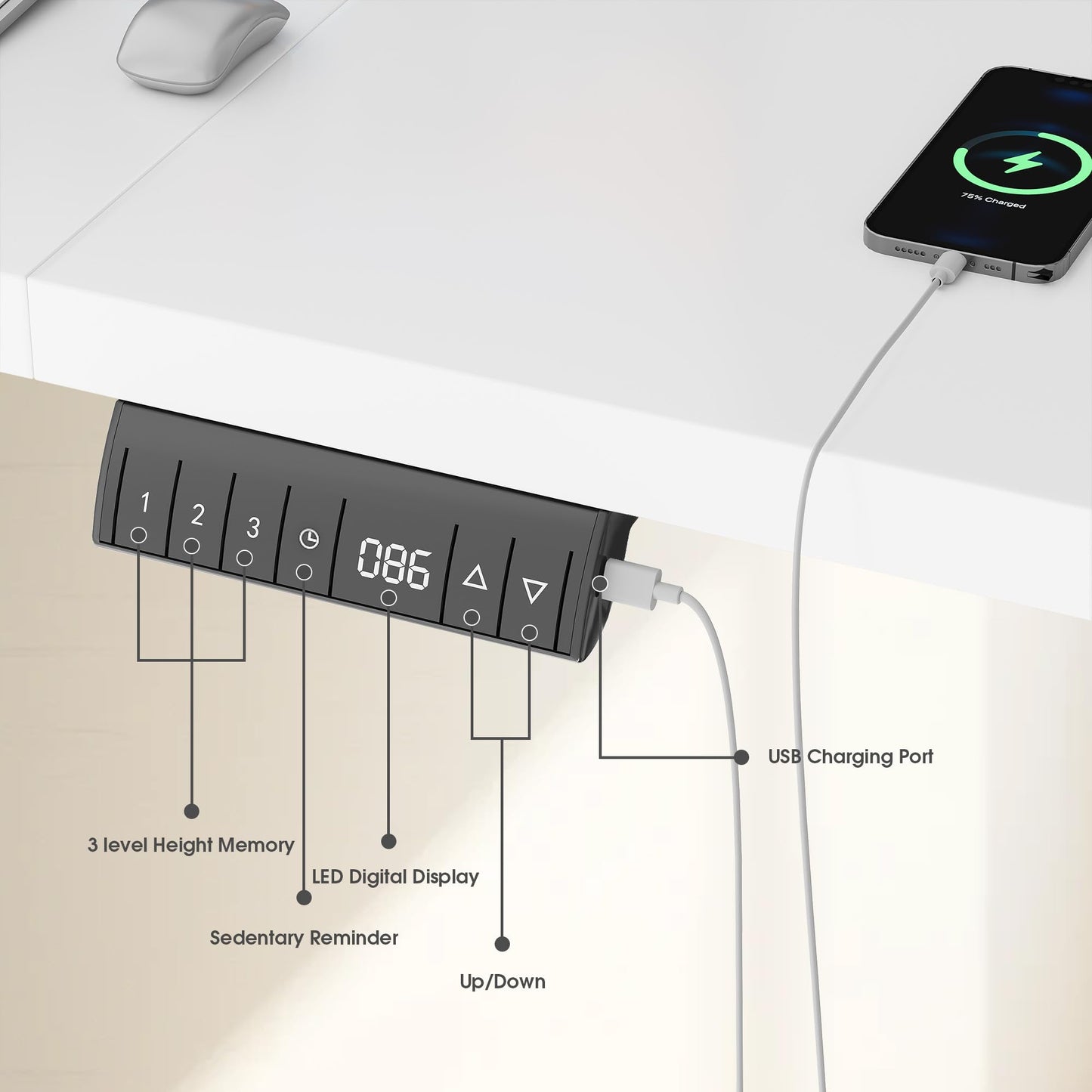 Homall Height Adjustable Electric Standing Desk 140x70cm Sit Stand Desk with USB Charging, Time Reminder, 3 Memory Settings, Wire Management Tray