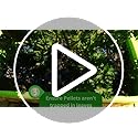FERRIS | Slug & Snail Killer Pellets 800g - Use in Gardens & Greenhouses - Powerful Slug Repellent for Organic Gardening with Maximum Protection | Fast Acting Pellets for Slugs and Snails (1 Pack)