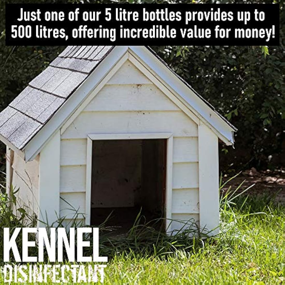 ULTIMA-PLUS XP Kennel Kleen - Disinfectant, Cleaner, Sanitiser, Deodoriser, Concentrated, For use in Kennels, Catteries, Hatches and More! Lavender Fragrance, 5 L