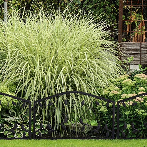 Relaxdays Garden Edging, 4 Piece Set, HxW: 33 x 225 cm, Flowerbed Border Fence, Push-In, Iron, Leaf Design, Black