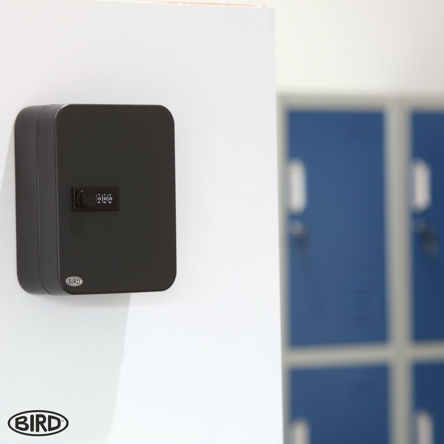 BIRD Combination Key Cabinet (Black, 30 Key)
