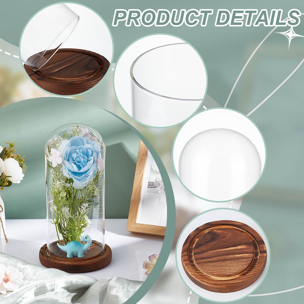 NBEADS Clear Glass Dome, Clear Glass Display Case with Camel Wood Base Decorative Display Dome Case for Plants Flower Display Photos Medals