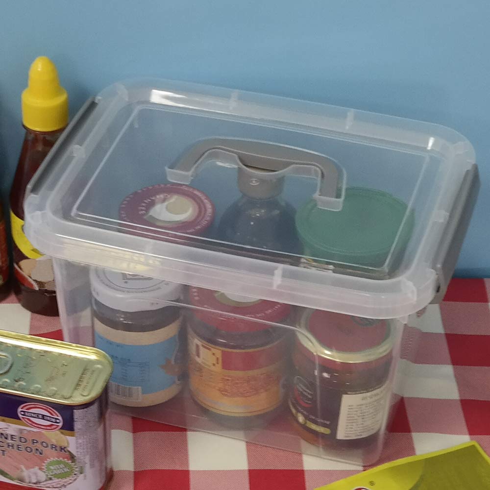 Dynko Plastic Storage Boxes, Clear Containers, Boxes with Lids Set of 4