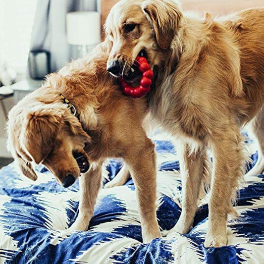 KONG - Ring - Durable Rubber Dog Chew Toy - For Medium/Large Dogs
