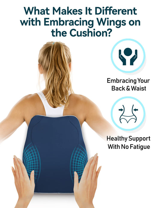 Travel Ease Ergonomic Lumbar Support Cushion, Memory Foam Back Support Cushion for Office Chairs with Skin-friendly Cover for Comfort (DarkBlue)