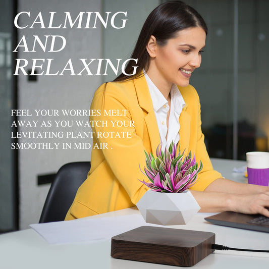 Levitating Air Bonsai Pot, Rotation Flower Pot Planters, Magnetic Levitation Suspension Floating Pot, Potted Plant Home Desk Decor in Flower Pots &