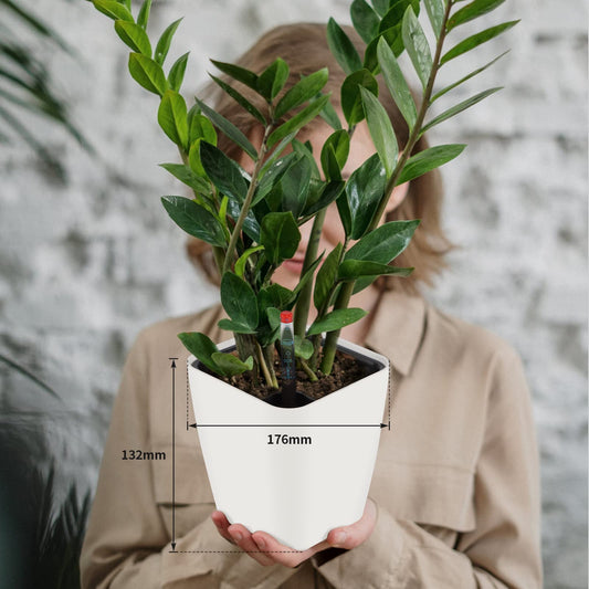 CPROSP 6 x Self-Watering Pot with Water Level Indicator, Herb Pot Self-Watering 13.7 x 13.5 cm, Flower Pot Water Storage with Pot-in-Pot System,