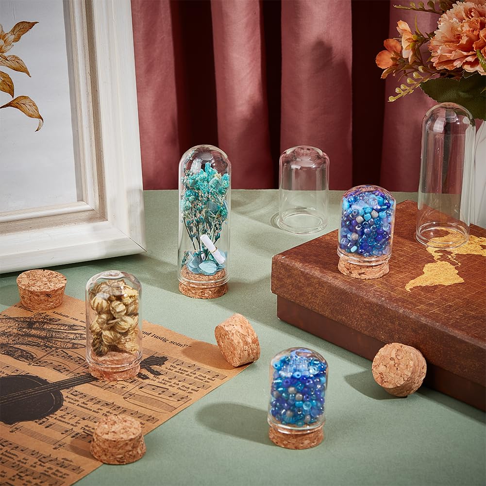 BENECREAT 24Pcs 3 Size Small Glass Display Dome Cloche, Glass Display Dome with Cork Base