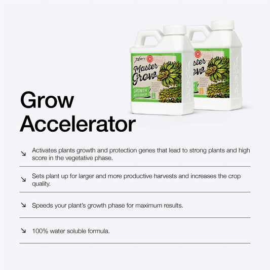 Xpert Nutrients Master Grow A+B (5L) - Basic Growth Fertilizer for the Vegetative Phase of Plants, Universal Plant Food, Liquid Grow Nutrient, Indoor