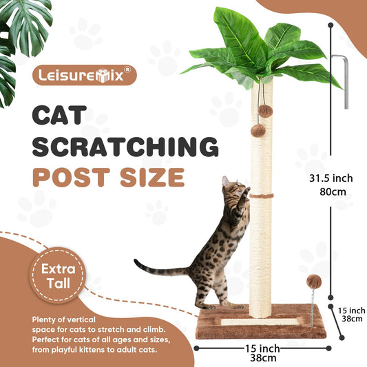 Cat Scratching Post for Indoor Cats 80cm Tall Scratch Tree Toys for Kitten & Adult Cats, Brown Cat Tree Post