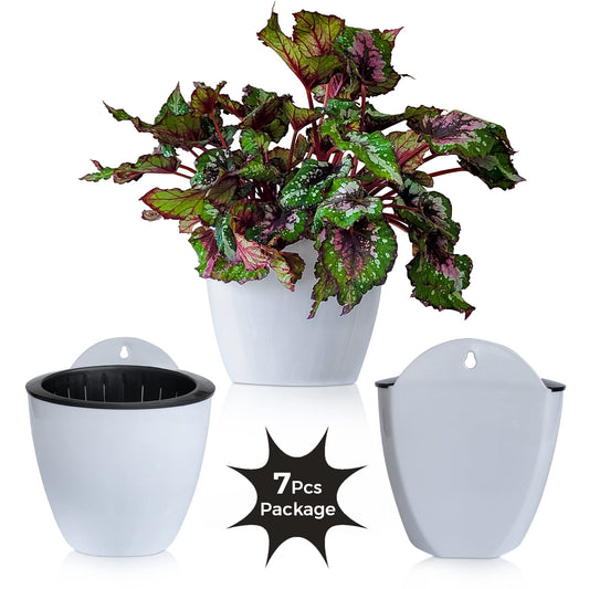 ShoppeWatch Self Watering Wall Planters for Indoor Plants 7 Pack Medium 5 Inch with Hooks | Outdoor Wall Pots for Plants | Wall Hanging Planters |