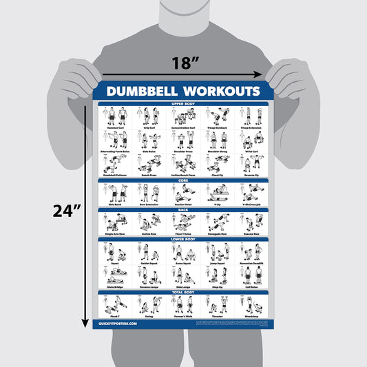 Palace Learning 16 Pack - Exercise Poster Set: Dumbbell, Suspension, Kettlebell, Resistance Bands, Medicine Ball, Battle Rope, Stretching, Bodyweight,