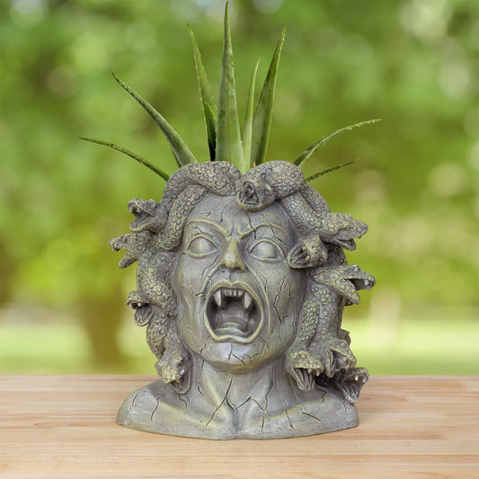 Darware Resin Medusa Head Planter, Large Garden Decor Statue Flower Pot
