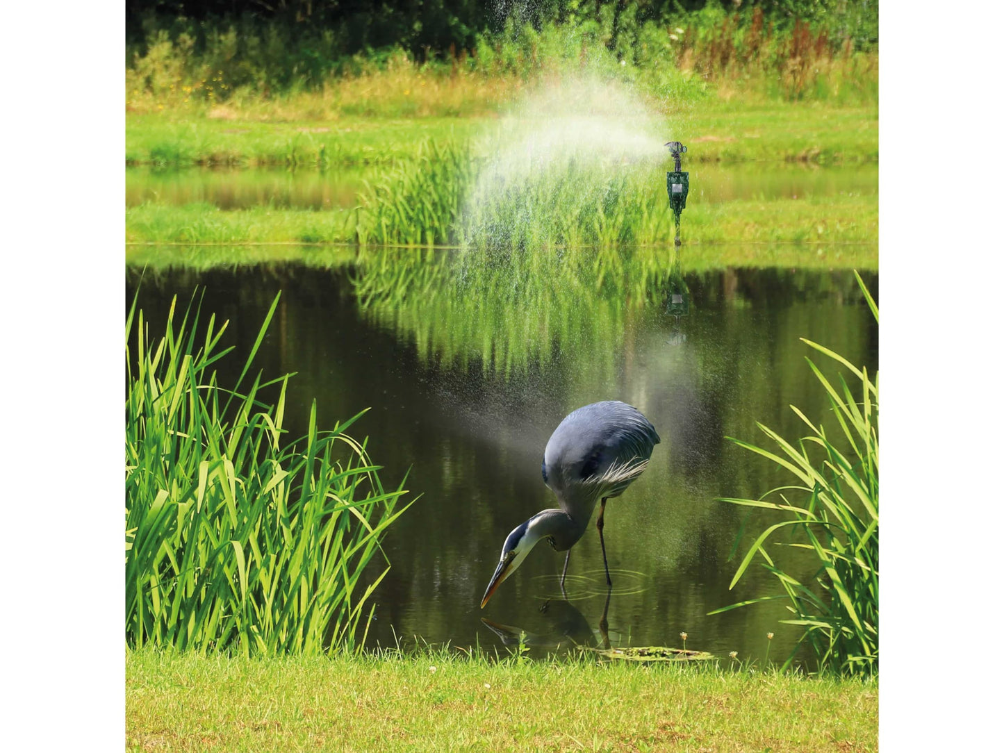 GARDIGO? Water Jet Animal Repellent | Bird Repellent, Heron Repellent, Cat Repellent Garden | Motion Activated Sprinkler | Up to 10m Range | Pigeon