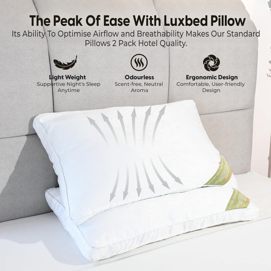 LuxBedCo Luxury Pillows 2 Pack - Soft Mulberry Silk Pillow Set for Head & Neck Support - Comfortable & Breathable 1000g Hotel Pillows for Better Sleep
