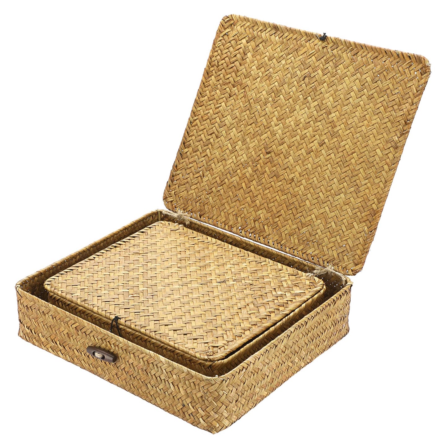 IGNPION Set of 2 Seagrass Storage Basket with Lid Flat Organiser Baskets for Shelf